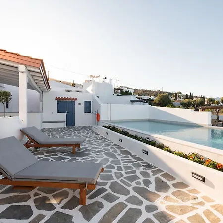 Square Luxury Kalathos